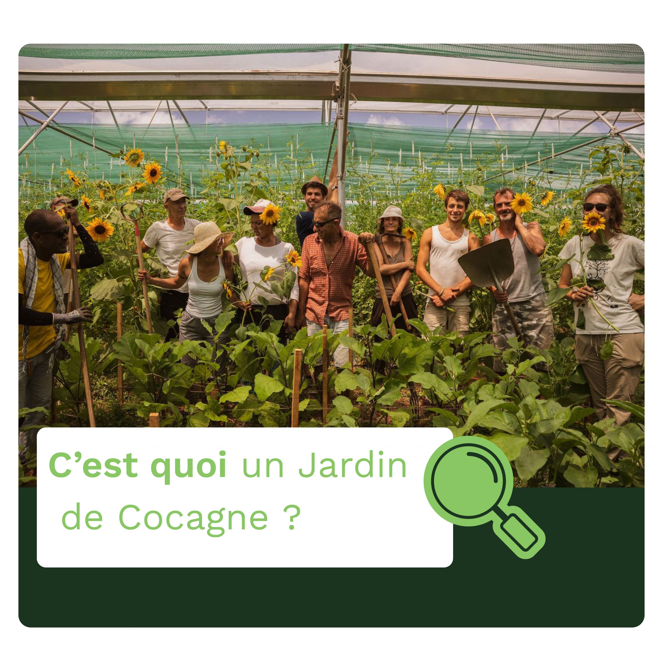 Mieux Comprendre Nos Actions Qu Est Ce Qu Un Jardin De Cocagne R Seau Cocagne